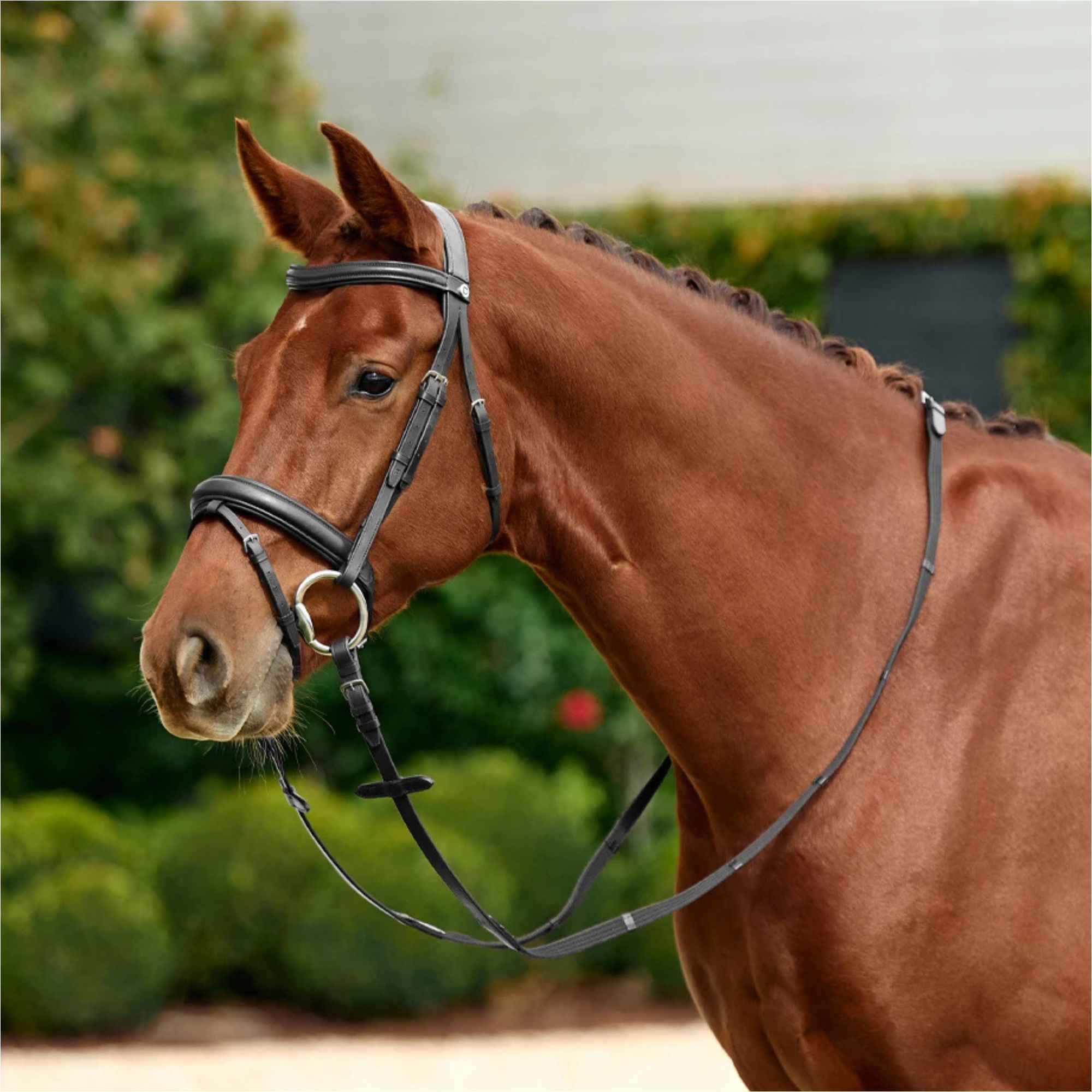 2026 Dublin Padded Mono Crown Flash Bridle 1031498 - Black